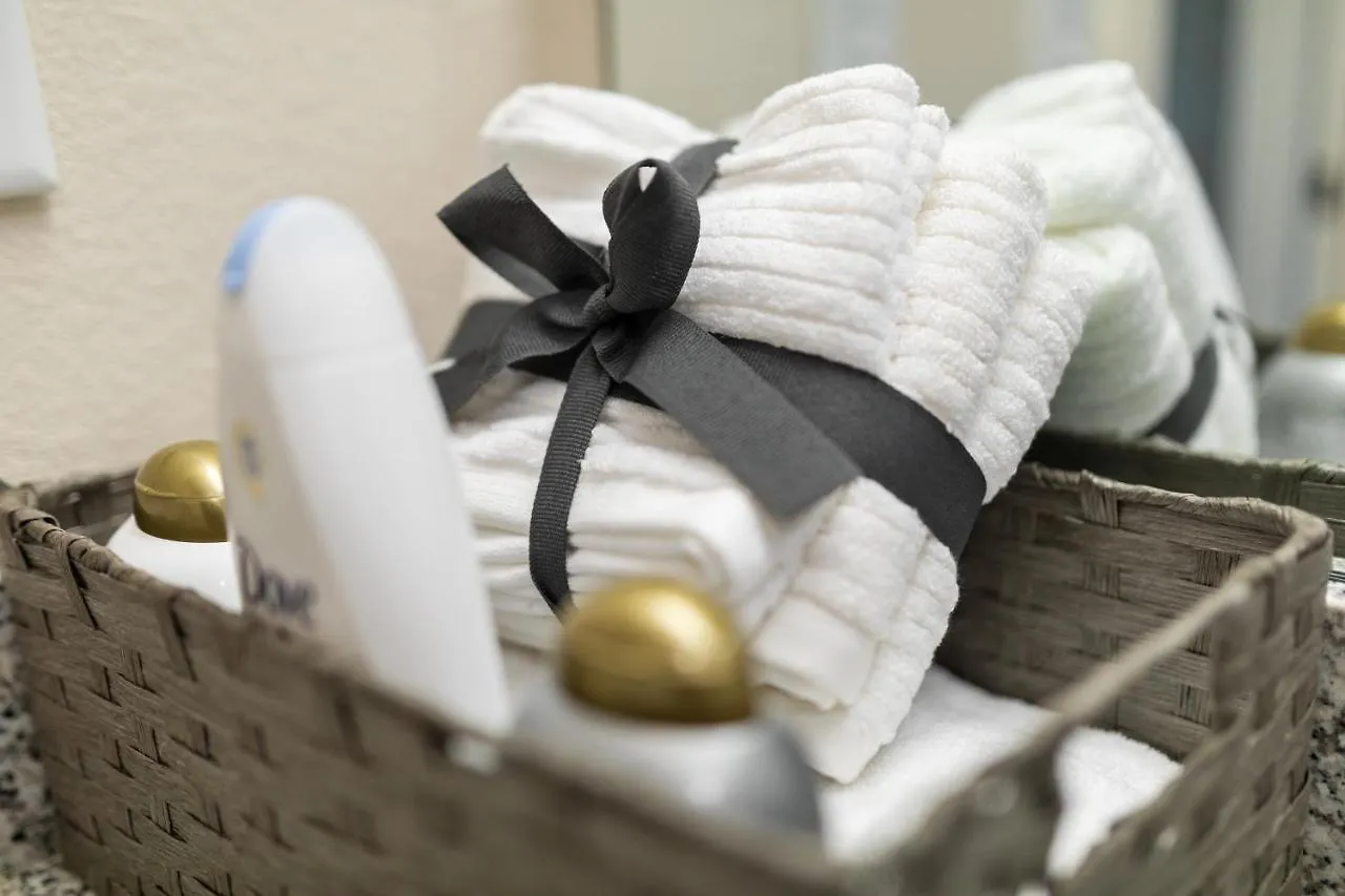 The Professional - 5 Mins To Carowinds Apartment Charlotte United States
